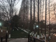 -祥源·阜阳生态乐园