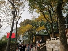 -灵岩山风景区