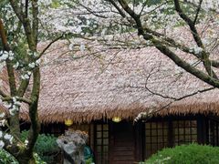 -中国茶叶博物馆(双峰馆区)