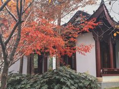 -堤角公园