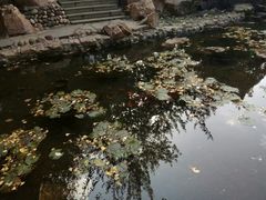 -辽宁大学(崇山校区)