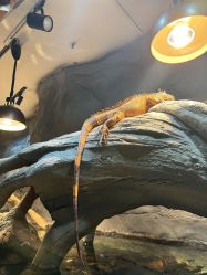 -Zoolung Zoolung动物主题公园(海信广场店)