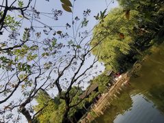 -秋霞圃