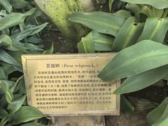 -国家植物园南园
