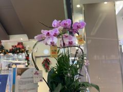 -福田卓悦INTOWN购物中心