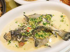 -有腥气私房菜·寻味顺德