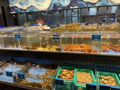 -青蓬蒸汽海鲜·深圳老字号·团建聚会(壹方城店)