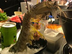 -鲜入围煮花胶鸡海鲜火锅
