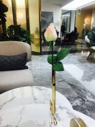 -Dr.U博士医疗美容医院