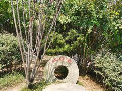 -枫香湖儿童公园