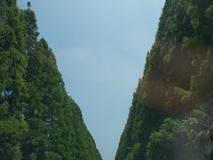 -黄海国家森林公园