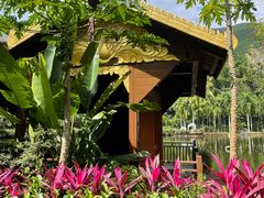 -西双版纳原始森林公园