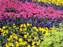 -哈尔滨文化公园