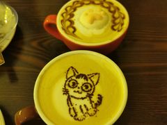 -名猫咖啡馆·撸猫·拼豆