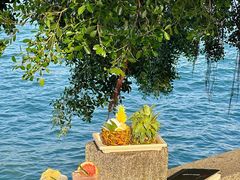 -苏小糖(鼓浪屿三丘田花园店)