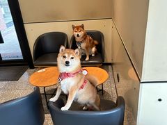 -星巴克(武汉招商公园1872店)