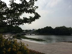 -新江湾城公园