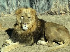 -北京野生动物园