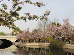 -元大都城垣遗址公园