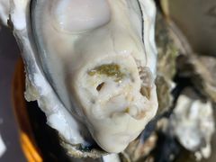 -鲜螺湾(鹏欣丽都店)