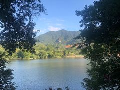 -深圳仙湖植物园