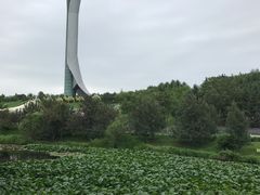 -沈阳植物园