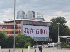 -石饮红星包子(中山路店)