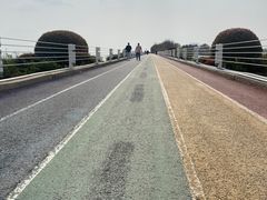 -贡湖湾湿地公园