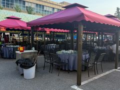 -燕郊烧鸽子(酷车小镇店)