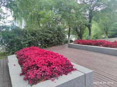 -云龙湖旅游景区