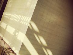 -西安浐灞艾美酒店·汉江餐厅·火锅