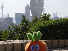 -东望洋炮台东望洋灯塔
