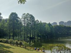 -东莞植物园