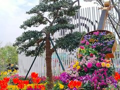-苏州上方山国家森林公园