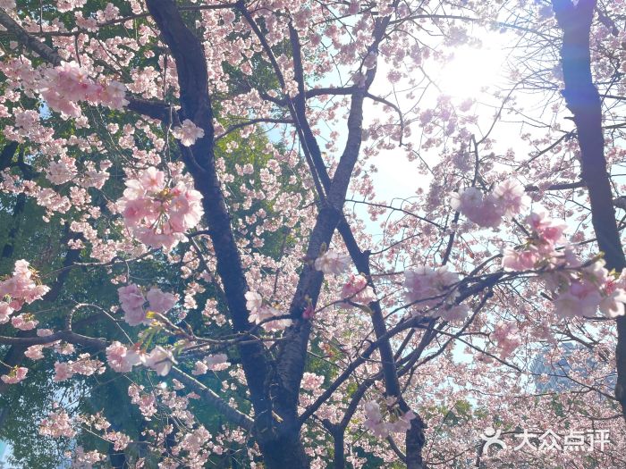 静安雕塑公园图片