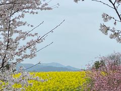 -径山花海
