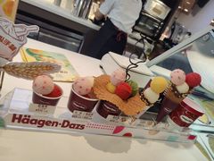 -哈根达斯(石家庄北国店)