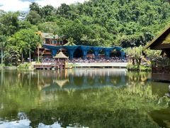 -西双版纳原始森林公园