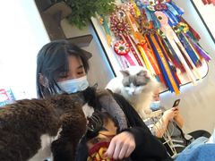 -啵啵喵·猫咖(攀华国际店)