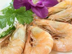 -鼎仔翅(龙湖公寓北区店)