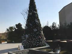 -上海崇明金茂凯悦酒店