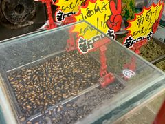 大堂-秋栗香(地安门店)