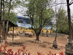 -西安秦岭野生动物园