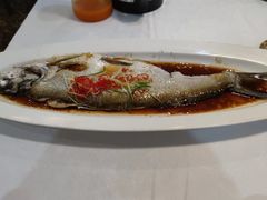 -黄鹤楼湖北特色菜(高碑店)