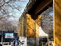 -春风习习