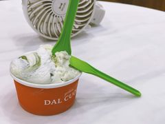 斑斓椰子-Dal Cuore 达可芮冰淇淋(陕西北路店)