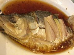 鲥鱼-上海小南国(世博源店)