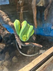 -Zoolung Zoolung动物主题公园(海信广场店)