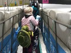 -绍兴启迪乔波冰雪世界