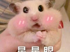 -炉鱼(爱琴海购物公园店)